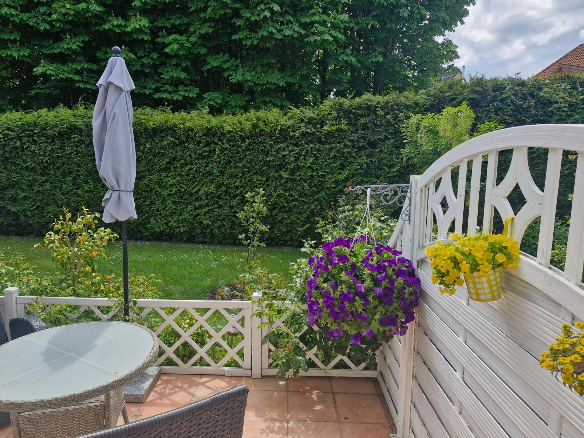 Apartament Lilly & Fine Zingst Zewnętrze zdjęcie