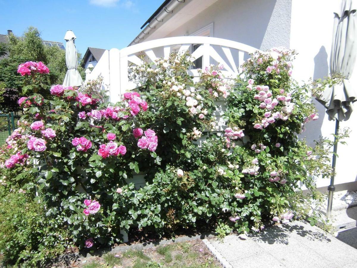 Apartament Lilly & Fine Zingst Zewnętrze zdjęcie